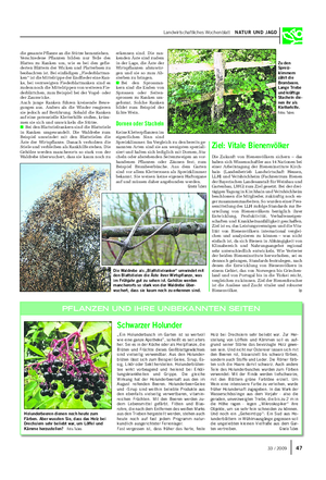 Landwirtschaftliches Wochenblatt NATUR UND JAGD erkennen sind.