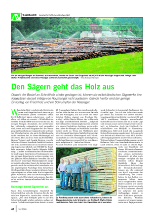 WALDBAUER Landwirtschaftliches Wochenblatt werk Schmelter in Lennestadt-Saalhausen die aktuelle Lage: „Da sich der Schnittholzmarkt gut erholt hat, könnten wir unsere Verarbei- tungskapazitäten kurzfristig von derzeit 90 auf 100 % ausdehnen.