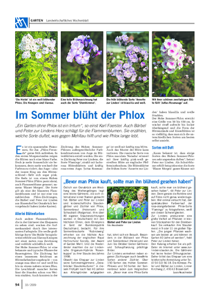 GARTEN Landwirtschaftliches Wochenblatt E s ist ein spannendes Phäno- men, für das „Phlox-Freun- de“ gerne früh aufstehen.