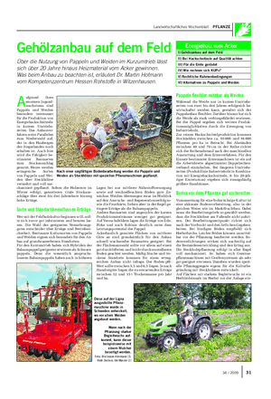 Landwirtschaftliches Wochenblatt PFLANZE Gehölzanbau auf dem Feld Über die Nutzung von Pappeln und Weiden im Kurzumtrieb lässt sich über 20 Jahre hinaus Heizmaterial vom Acker gewinnen.