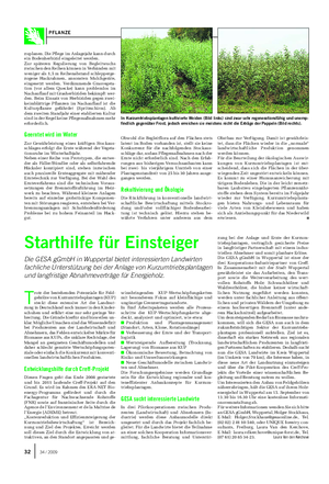 Starthilfe für Einsteiger Die GESA gGmbH in Wuppertal bietet interessierten Landwirten fachliche Unterstützung bei der Anlage von Kurzumtriebsplantagen und langfristige Abnahmeverträge für Energieholz.