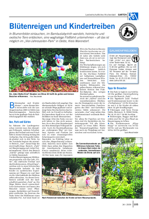 Landwirtschaftliches Wochenblatt GARTEN Blüte des Taschentuchbaums (Davidia involucrata var.