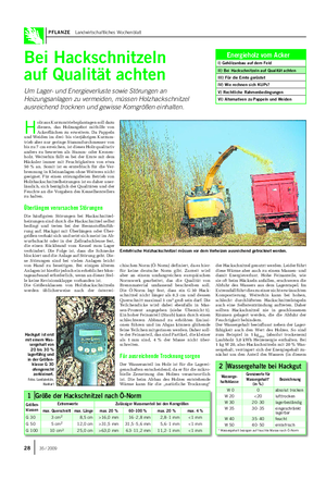 PFLANZE Landwirtschaftliches Wochenblatt der Hackschnitzel genutzt werden.
