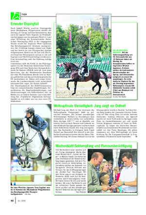 Wochenblatt-Sektempfang und Parcoursbesichtigung 100 Wochenblatt-Leser konnten sich am Freitag vergangener Woche über einen Besuch beim „Turnier der Sie- ger“ in Münster freuen.