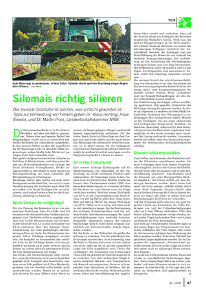 D ie Silomaisanbaufläche ist in Nordrhein- Westfalen auf über 250 000 ha gewach- sen.