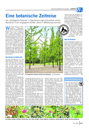Landwirtschaftliches Wochenblatt GARTEN -birnen rundet den Obstgarten ab.