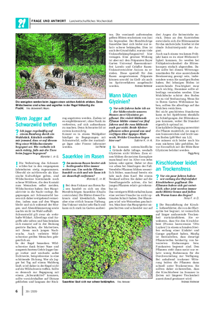 FRAGE UND ANTWORT Landwirtschaftliches Wochenblatt ten.