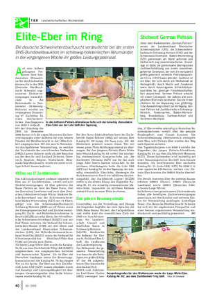 TIER Landwirtschaftliches Wochenblatt Elite-Eber im Ring Die deutsche Schweineherdbuchzucht verdeutlichte bei der ersten DHS-Bundeseliteauktion im schleswig-holsteinischen Neumünster in der vergangenen Woche ihr großes Leistungspotenzial.