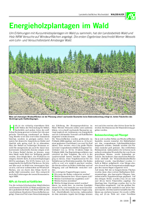 Landwirtschaftliches Wochenblatt WALDBAUER Energieholzplantagen im Wald Um Erfahrungen mit Kurzumtriebsplantagen im Wald zu sammeln, hat der Landesbetrieb Wald und Holz NRW Versuche auf Windwurfflächen angelegt.