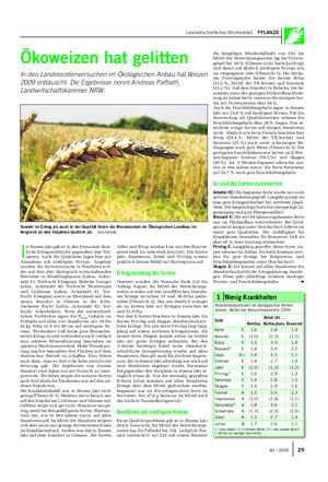Landwirtschaftliches Wochenblatt PFLANZE Ökoweizen hat gelitten In den Landessortenversuchen im Ökologischen Anbau hat Weizen 2009 enttäuscht.