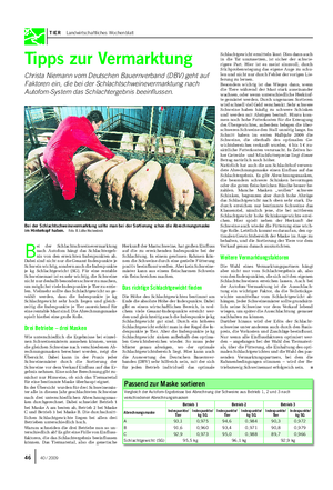 TIER Landwirtschaftliches Wochenblatt Tipps zur Vermarktung Christa Niemann vom Deutschen Bauernverband (DBV) geht auf Faktoren ein, die bei der Schlachtschweinevermarktung nach Autofom-System das Schlachtergebnis beeinflussen.