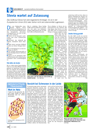GESUNDHEIT Landwirtschaftliches Wochenblatt Stevia wartet auf Zulassung Das Süßkraut Stevia hat viele begeisterte Anhänger.