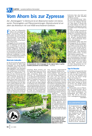 E in „Muss“ für Pflanzenlieb- haber ist der „Rombergpark“ im Dortmunder Süden.