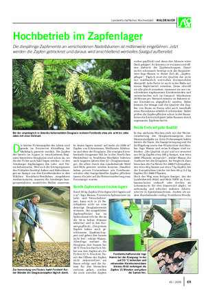 Landwirtschaftliches Wochenblatt WALDBAUER Hochbetrieb im Zapfenlager Die diesjährige Zapfenernte an verschiedenen Nadelbäumen ist mittlerweile eingefahren.