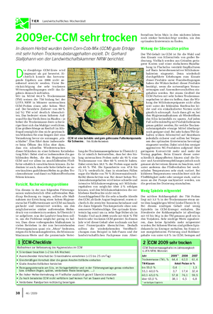 TIER Landwirtschaftliches Wochenblatt 2009er-CCM sehr trocken In diesem Herbst wurden beim Corn-Cob-Mix (CCM) gute Erträge mit sehr hohen Trockensubstanzgehalten erzielt.