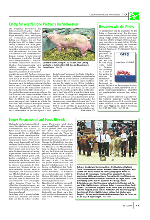 Landwirtschaftliches Wochenblatt TIER Die diesjährige Eliteauktion des Schweinezuchtverbandes Baden- Württemberg (SZV) in Ilshofen er- folgte erstmalig unter Beteiligung des westfälischen Zuchtbetriebes Lefting aus Borken, der seit Mai Mitglied beim SZV ist.