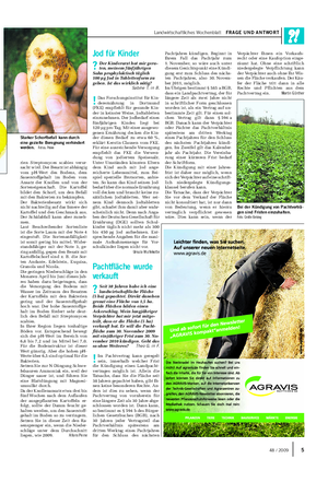 Landwirtschaftliches Wochenblatt FRAGE UND ANTWORT rien Streptomyces scabies verur- sacht wird.