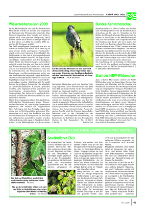 Landwirtschaftliches Wochenblatt NATUR UND JAGD Wiesenweihensaison 2009 In der Hellwegbörde und auf der Paderborner Hochfläche wurden in diesem Jahr insgesamt 22 Brutpaare der Wiesenweihe ermittelt.