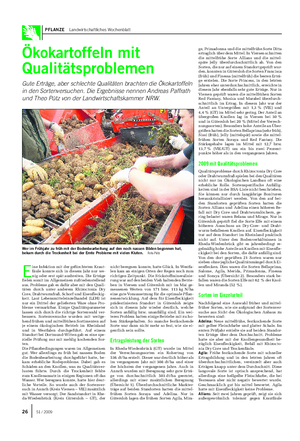PFLANZE Landwirtschaftliches Wochenblatt Ökokartoffeln mit Qualitätsproblemen Gute Erträge, aber schlechte Qualitäten brachten die Ökokartoffeln in den Sortenversuchen.