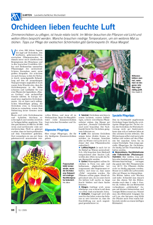 GARTEN Landwirtschaftliches Wochenblatt Orchideen lieben feuchte Luft Zimmerorchideen zu pflegen, ist heute relativ leicht.