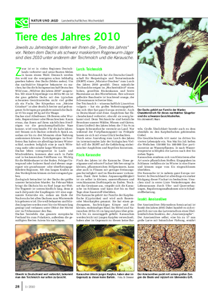 NATUR UND JAGD Landwirtschaftliches Wochenblatt Tiere des Jahres 2010 Jeweils zu Jahresbeginn stellen wir Ihnen die „Tiere des Jahres“ vor.