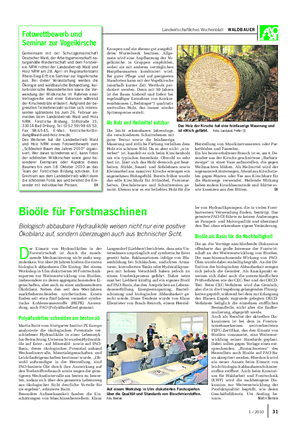 Landwirtschaftliches Wochenblatt WALDBAUER Knospen und ein ebenso gut ausgebil- detes Wurzelwerk besitzen.