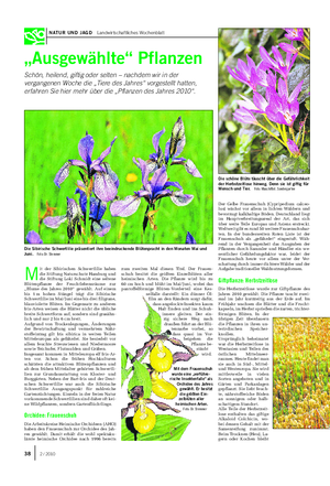 NATUR UND JAGD Landwirtschaftliches Wochenblatt Mit dem Frauenschuh wurde eine „verführe- rische Insektenfalle“ als Orchidee des Jahres gewählt.