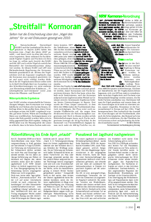 „Streitfall“ Kormoran Selten hat die Entscheidung über den „Vogel des Jahres“ für so viel Diskussion gesorgt wie 2010.