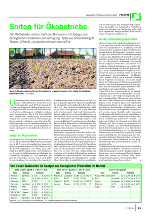 Landwirtschaftliches Wochenblatt PFLANZE Sorten für Ökobetriebe Für Ökobetriebe stehen mehrere Maissorten mit Saatgut aus ökologischer Produktion zur Verfügung.