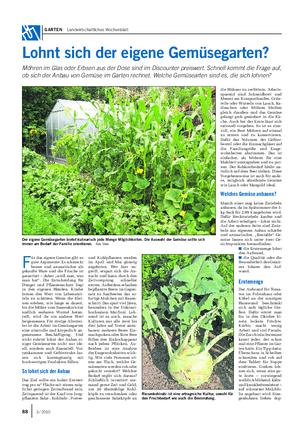 GARTEN Landwirtschaftliches Wochenblatt Lohnt sich der eigene Gemüsegarten?