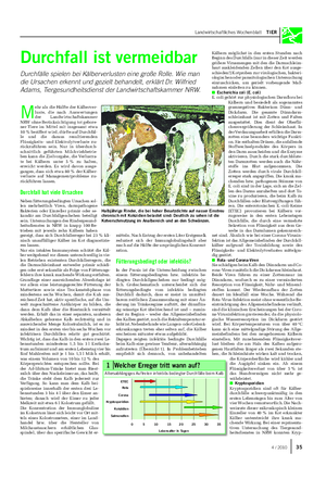 Landwirtschaftliches Wochenblatt TIER Durchfall ist vermeidbar Durchfälle spielen bei Kälberverlusten eine große Rolle.