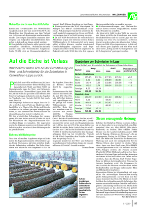 Landwirtschaftliches Wochenblatt WALDBAUER P ünktlich um 9 Uhr eröffnete am 20.