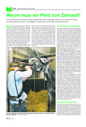 TIER Landwirtschaftliches Wochenblatt Warum muss ein Pferd zum Zahnarzt?
