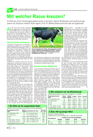 TIER Landwirtschaftliches Wochenblatt Holstein-Tieren – innerhalb der ersten 305 Melktage etwa 465 kg Milch weniger.