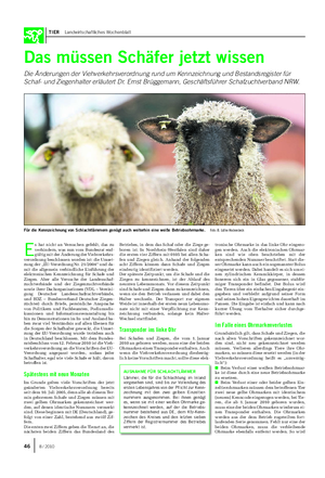 TIER Landwirtschaftliches Wochenblatt Das müssen Schäfer jetzt wissen Die Änderungen der Viehverkehrsverordnung rund um Kennzeichnung und Bestandsregister für Schaf- und Ziegenhalter erläutert Dr.