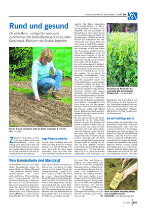 Landwirtschaftliches Wochenblatt GARTEN Rankgerüst.