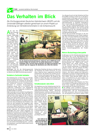 TIER Landwirtschaftliches Wochenblatt Das Verhalten im Blick Die Züchtungszentrale Deutsches Hybridschwein (BHZP) und die Universität Göttingen arbeiten gemeinsam an einem Projekt zur Einbindung von Verhaltensmerkmalen in die Schweinezucht.