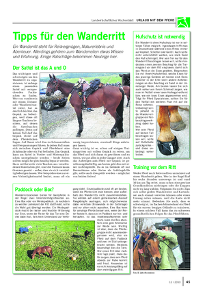 Landwirtschaftliches Wochenblatt URLAUB MIT DEM PFERD Tipps für den Wanderritt Ein Wanderritt steht für Reitvergnügen, Naturerlebnis und Abenteuer.