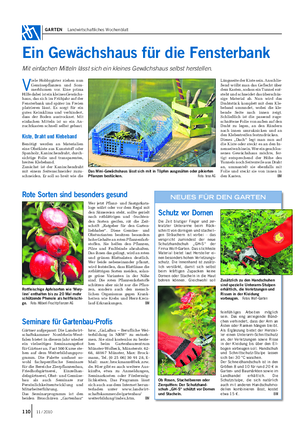 GARTEN Landwirtschaftliches Wochenblatt V iele Hobbygärter ziehen nun Gemüsepflanzen und Som- merblumen vor.