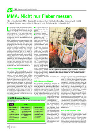 TIER Landwirtschaftliches Wochenblatt MMA: Nicht nur Fieber messen Was es rund um die MMA-Diagnostik bei Sauen kurz nach der Geburt zu beachten gilt, erklärt Dr.