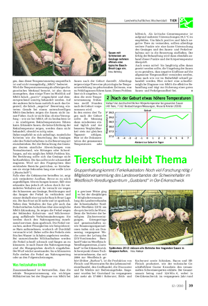 Landwirtschaftliches Wochenblatt TIER gen, dass dieser Temperaturanstieg unspezifisch ist und nicht zwangsläufig „MMA“ bedeutet.