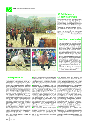 TIER Landwirtschaftliches Wochenblatt Westfalen in Skandinavien Im dänischen Herningen fand vor Kurzem die alljährliche Hengstkörung und -anerkennung statt.