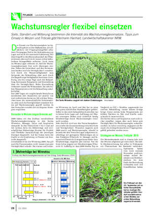 PFLANZE Landwirtschaftliches Wochenblatt Wachstumsregler flexibel einsetzen Sorte, Standort und Witterung bestimmen die Intensität des Wachstumsreglereinsatzes.