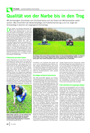 PFLANZE Landwirtschaftliches Wochenblatt D en Anbau von Silomais bekommen die Betriebe im Münsterland recht gut hin.