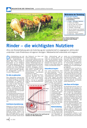 MEILENSTEINE DER TIERHALTUNG Landwirtschaftliches Wochenblatt D ie Rinderhaltung war und ist der bedeutendste Bereich der Nutztierhaltung in Deutschland.