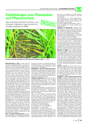 Landwirtschaftliches Wochenblatt PFLANZENBAU AKTUELL Blütenbehandlung in Raps: Im Raps steht die Abschluss-Blütenbehandlung an.