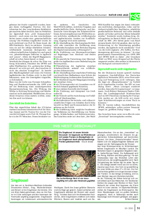 Landwirtschaftliches Wochenblatt NATUR UND JAGD Singdrossel Von den vier in Nordrhein-Westfalen brütenden Drosselarten (Mistel-, Sing-, Wacholderdrossel und Amsel) ist die Singdrossel die kleinste.