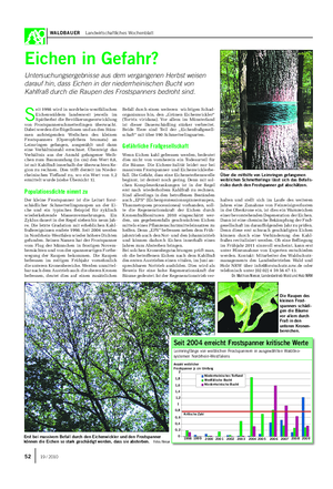 WALDBAUER Landwirtschaftliches Wochenblatt S eit 1998 wird in nordrhein-westfälischen Eichenwäldern landesweit jeweils im Spätherbst die Bevölkerungsentwicklung von Frostspannerschmetterlingen überwacht.