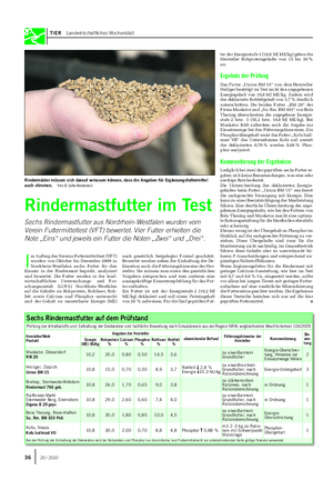 TIER Landwirtschaftliches Wochenblatt I m Auftrag des Vereins Futtermitteltest (VFT) wurden von Oktober bis Dezember 2009 in Nordrhein-Westfalen sechs Futter für den Einsatz in der Rindermast beprobt, analysiert und bewertet.