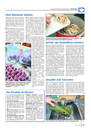 Landwirtschaftliches Wochenblatt HAUSHALT Erdbeeren gibt es mittlerweile fast das ganze Jahr.